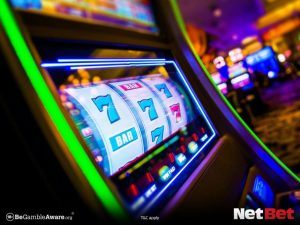 drumspg - Registro Oficial Bet